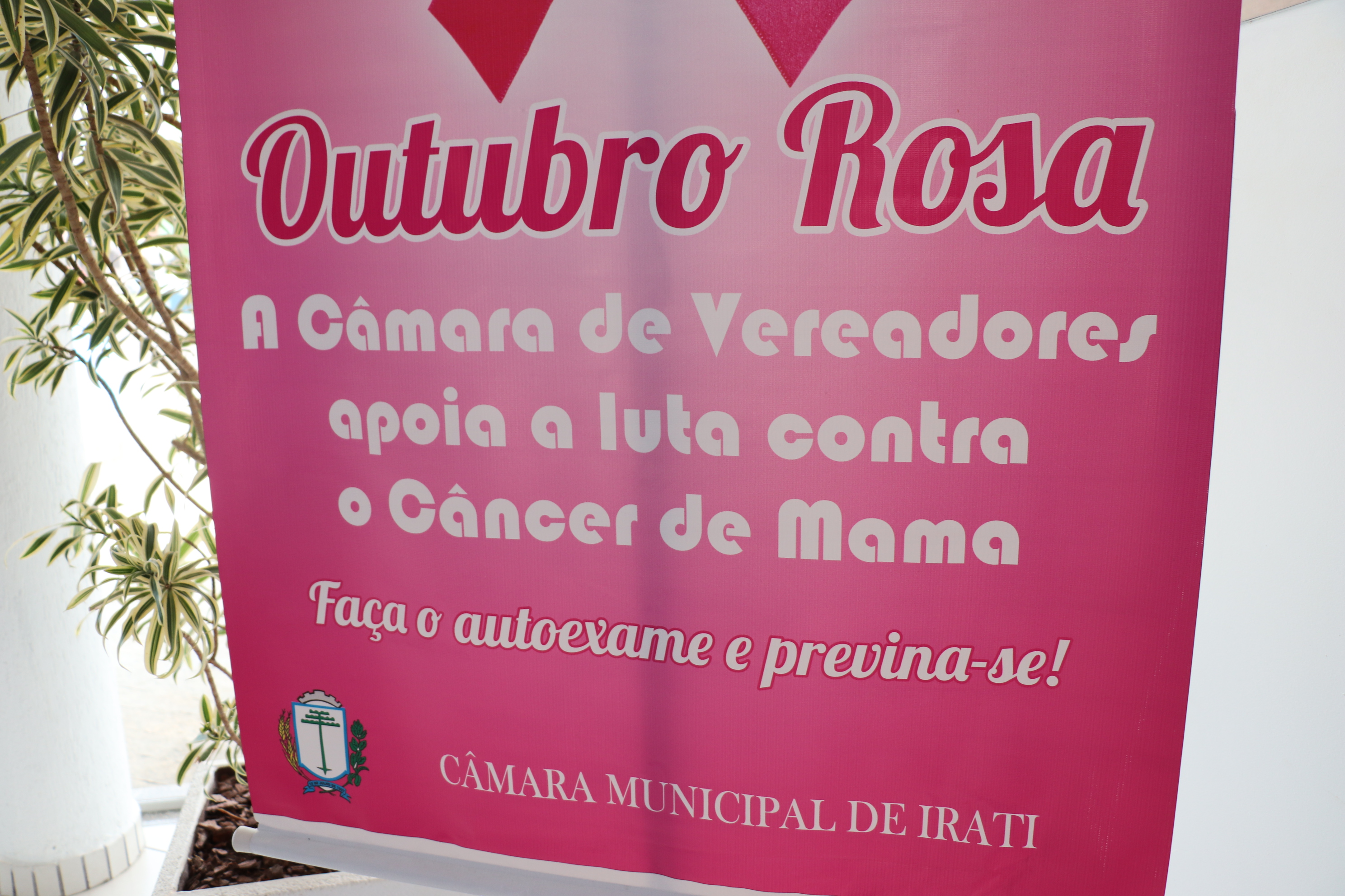 Câmara Municipal apoia a luta contra o Câncer de Mama