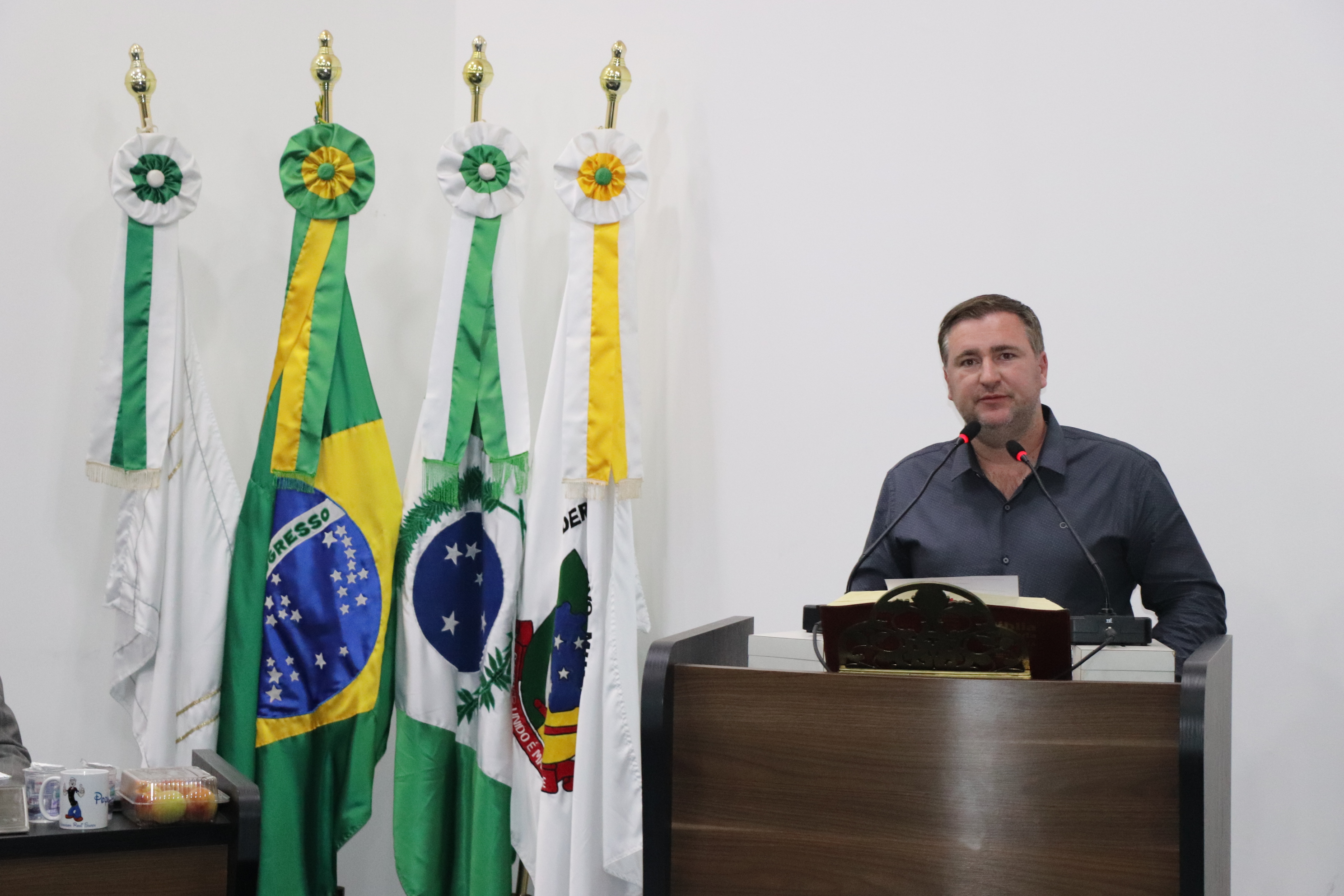 Deputado Estadual Emerson Bacil participa de Sessão Ordinária e coloca-se à disposição de Irati